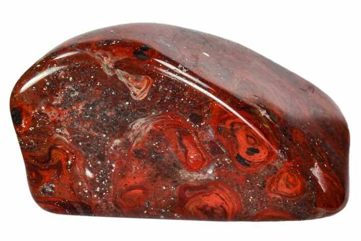 Polished Stromatolite (Collenia) - Minnesota #104424
